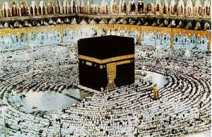 الصورة الرمزية فراس البياتي