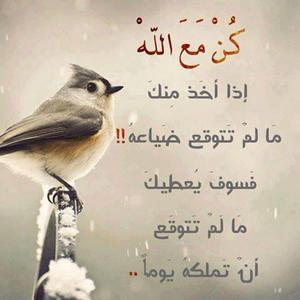الصورة الرمزية زيد العراق