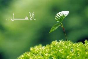 الصورة الرمزية عبدالله النجار