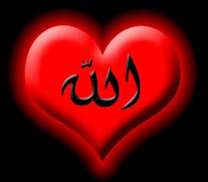 الصورة الرمزية روان حسين الساعدي